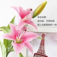 uploads/erp/collection/images/Home Garden/CongDing/XU0612295/img_b/XU0612295_img_b_3